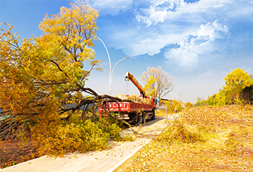 XCMG truck-mounted cranes make Pengcheng full of autumn colors